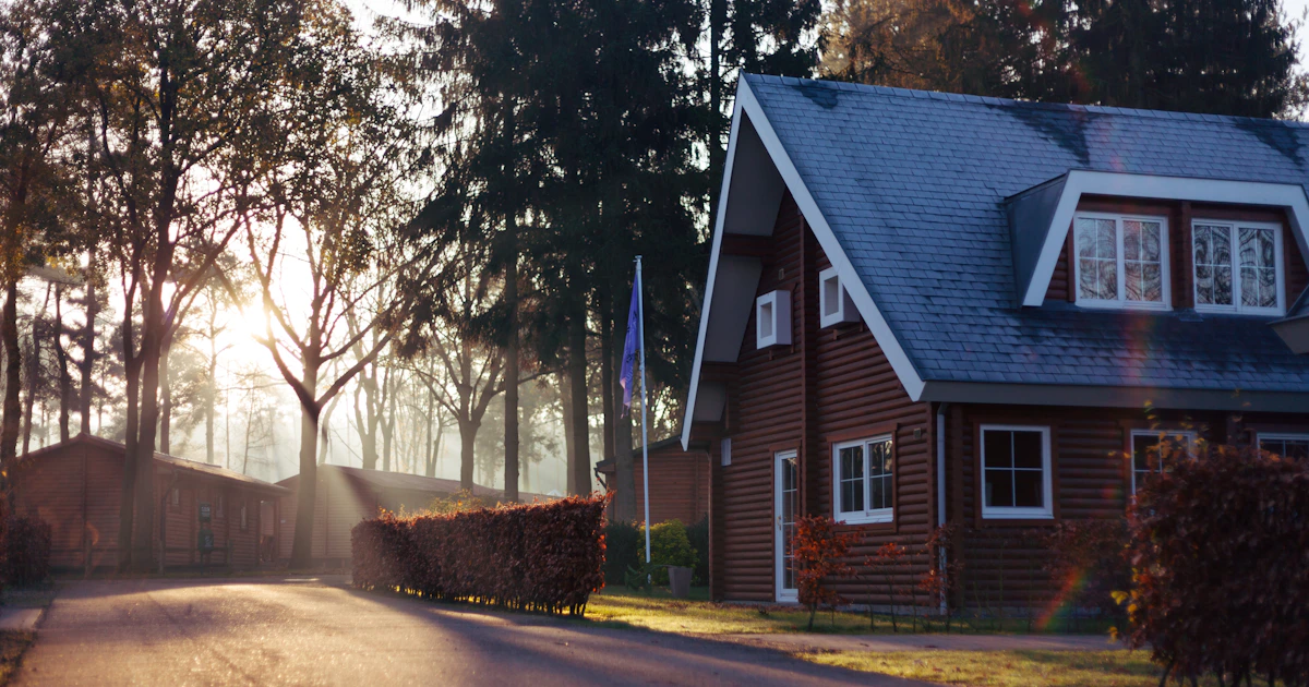 Quiet neighborhood street lined with mature trees and houses